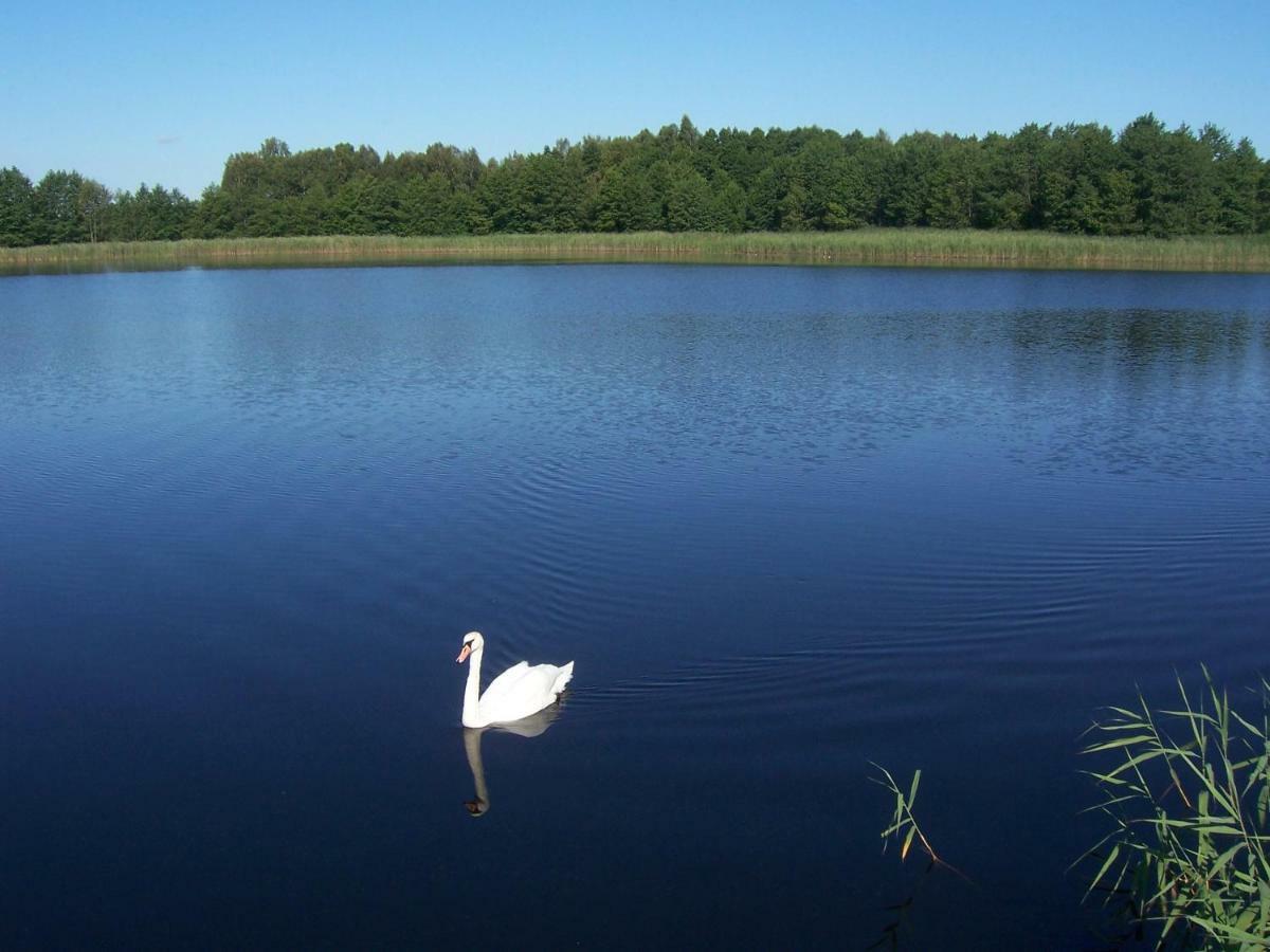 Domwigierski: Lakeside Comfort Farm with Private Beach and Sauna Wysoki Most  Exterior photo